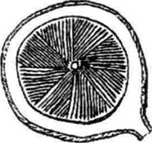 T00322_00_6