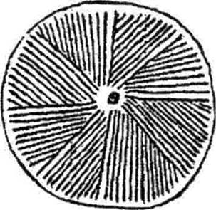 T00323_00_2