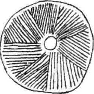 T00324_00_4