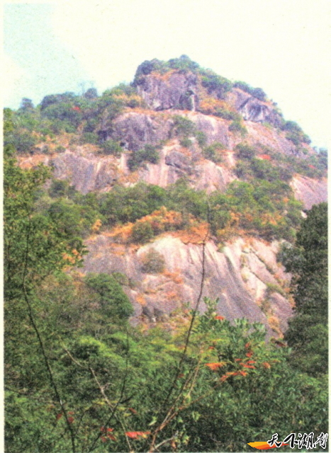 都庞岭